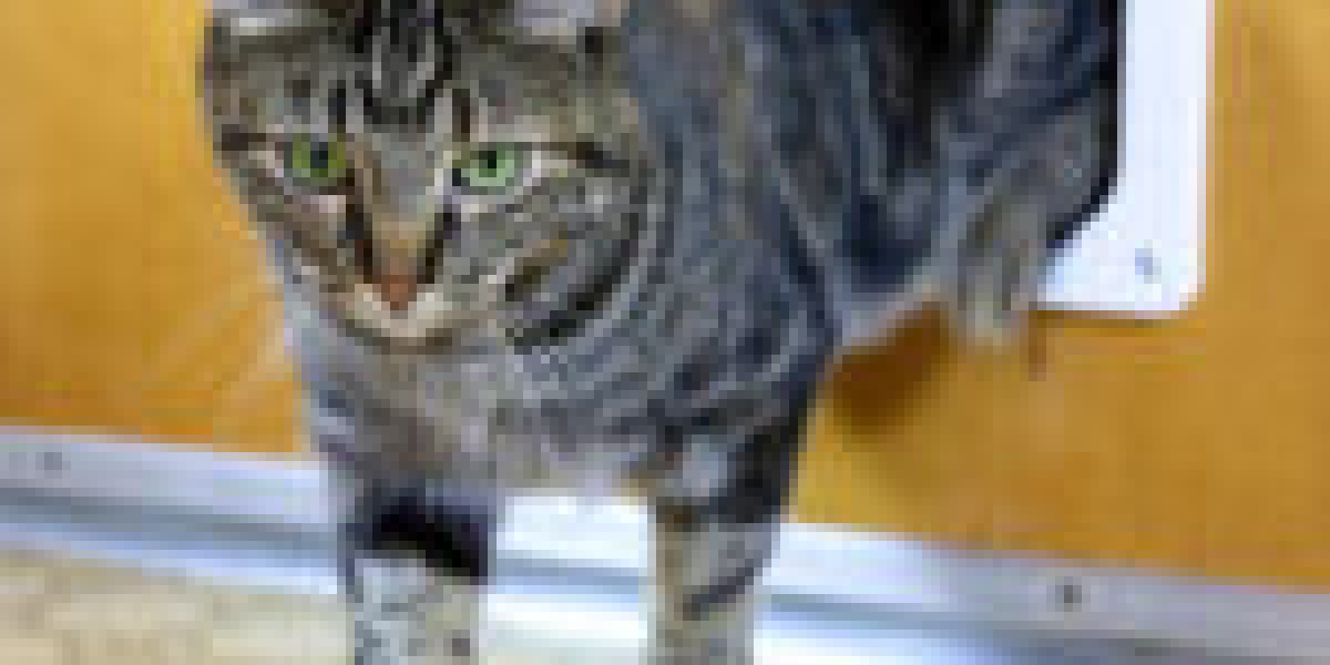 What's The Job Market For Cat Door Assembly Professionals?