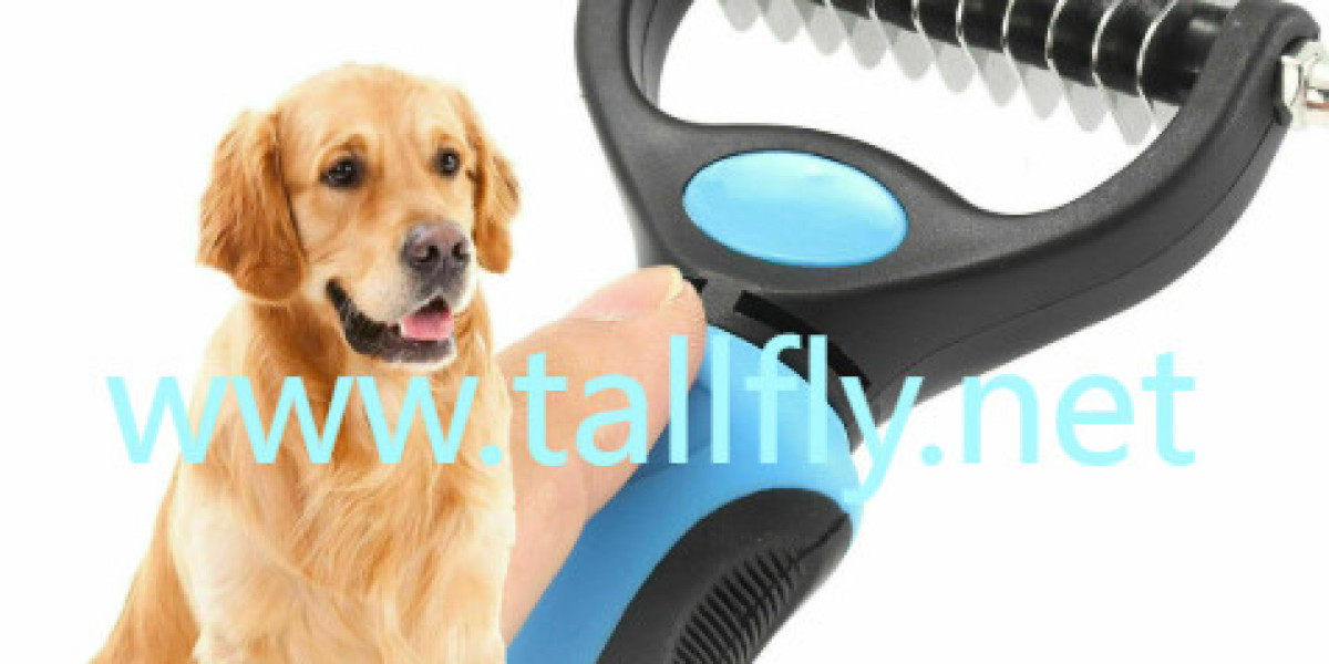 Pack Essential Pet Grooming Tools for Every Road Trip