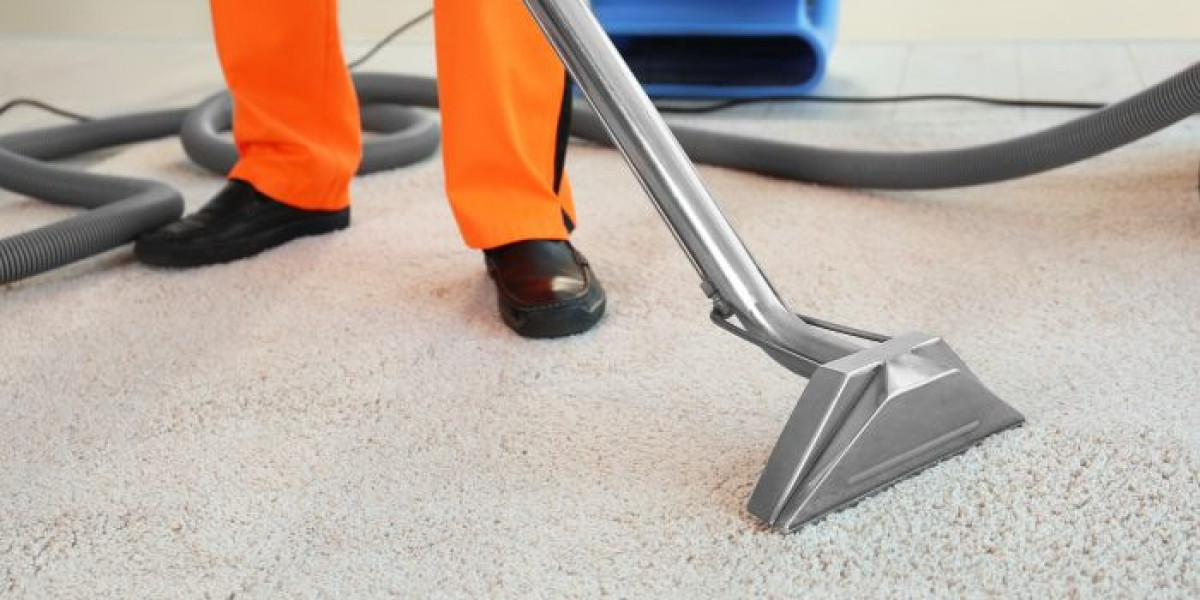 Carpet Cleaning Services That Go Deep Beneath the Surface