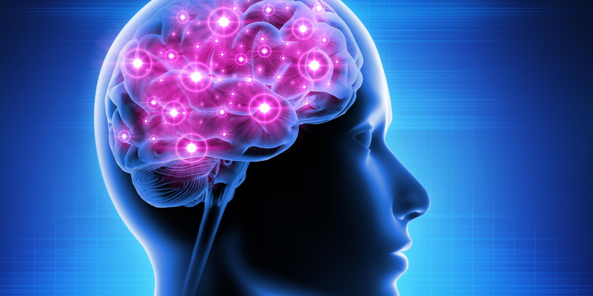How to Enhance Your Brain Performance with Modalert 200
