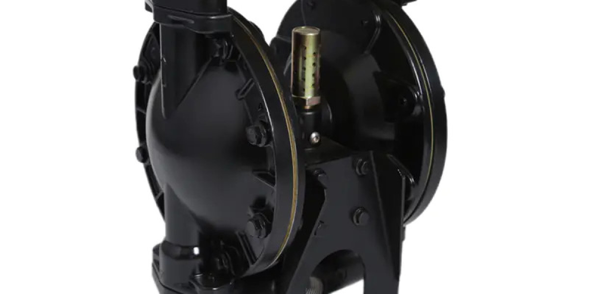 Practical Benefits of a Double Diaphragm Pump from Experienced Manufacturers