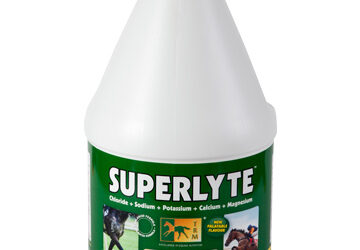 How to Choose the Right Horse Electrolytes for Optimal Health – View Pen